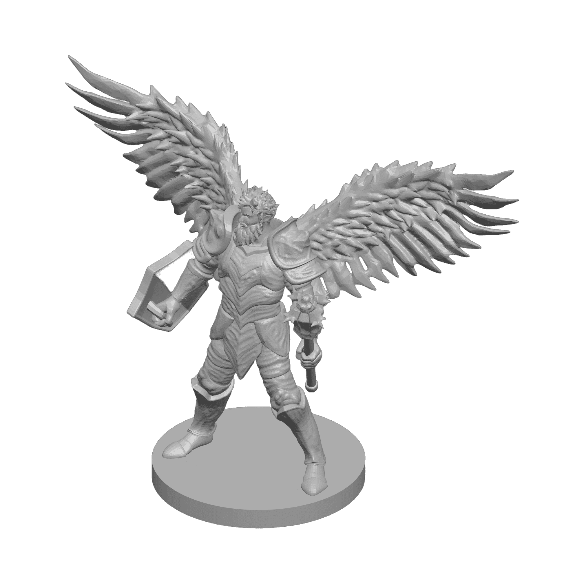 Aasimar Male Nature Cleric