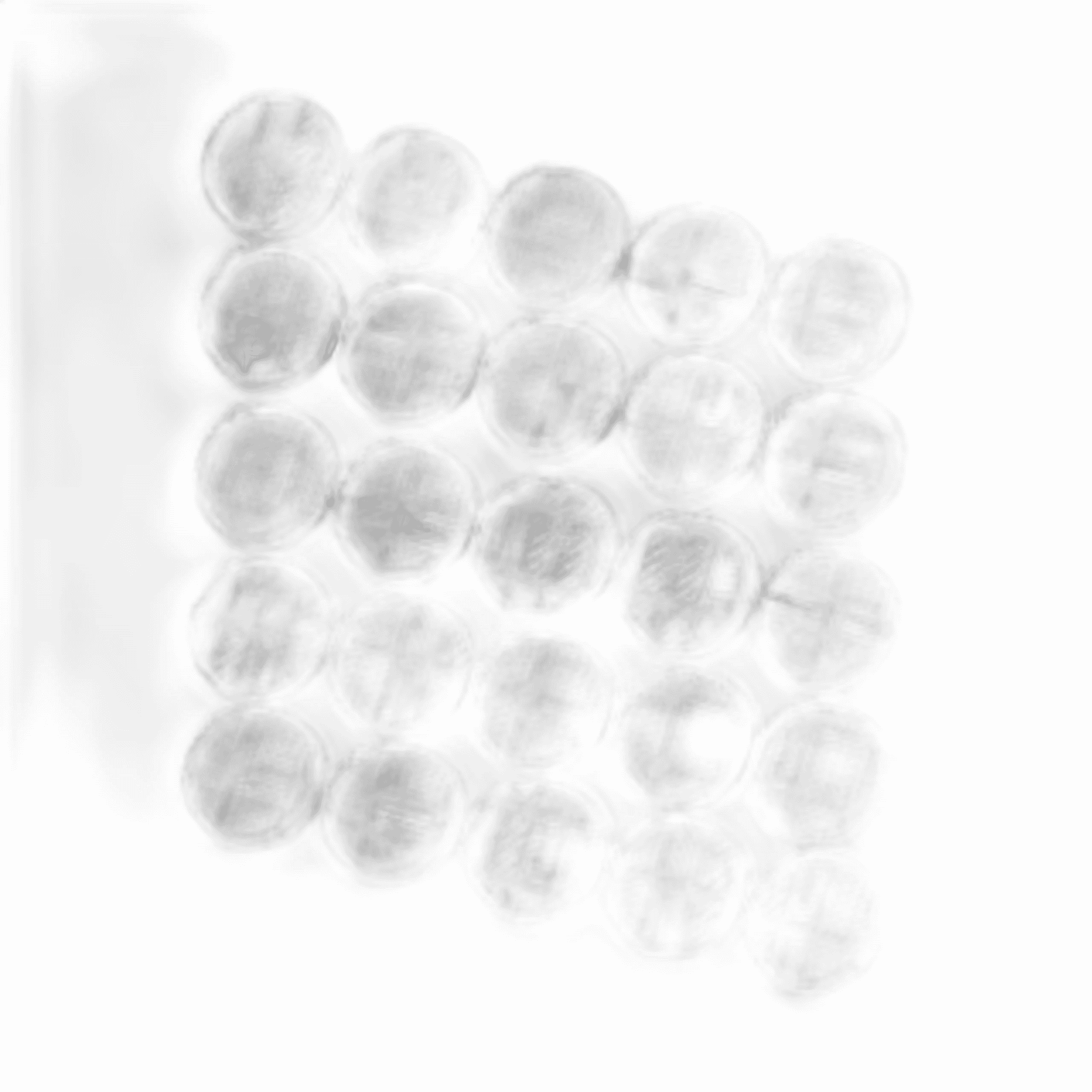 BaseINDUSTRIAL V2 25MM PACK